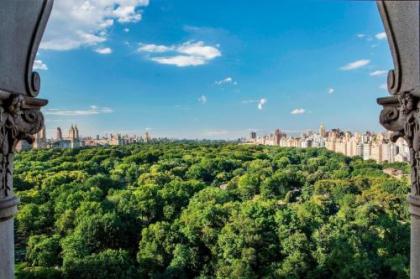 The Ritz-Carlton New York Central Park - image 10